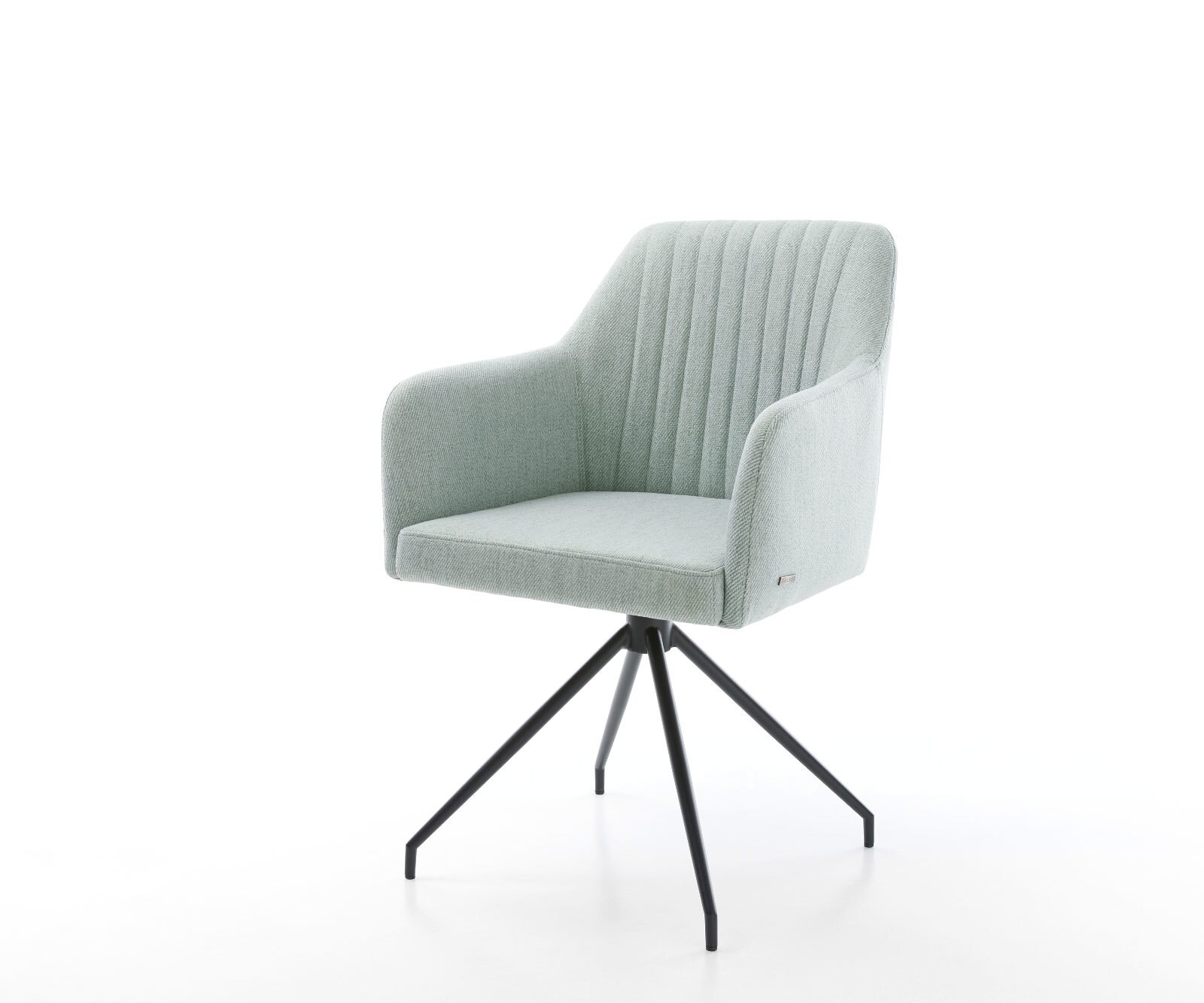 Eetkamerstoel Greg-Flex stripes mint kruisframe conisch zwart 1