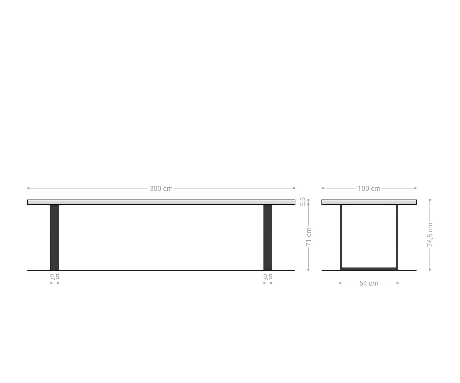 Eettafel Edge 300x100 XL acacia platina roestvrijstaal smal Live-Edge 6