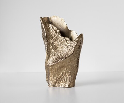 Vaas Cavira B29 x D16 x H48 cm Aluminium Champagner Handgemaakt