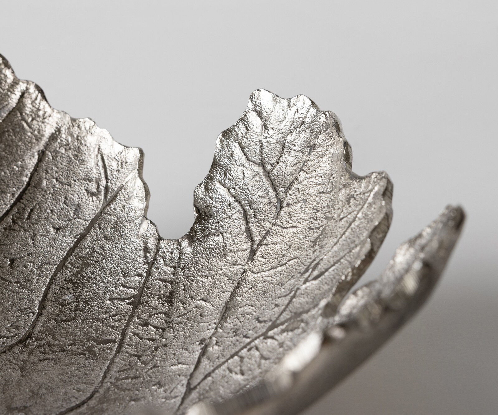 Schaal Folia B41 x D38 x H12 cm Aluminium Platin Handgemaakt 6