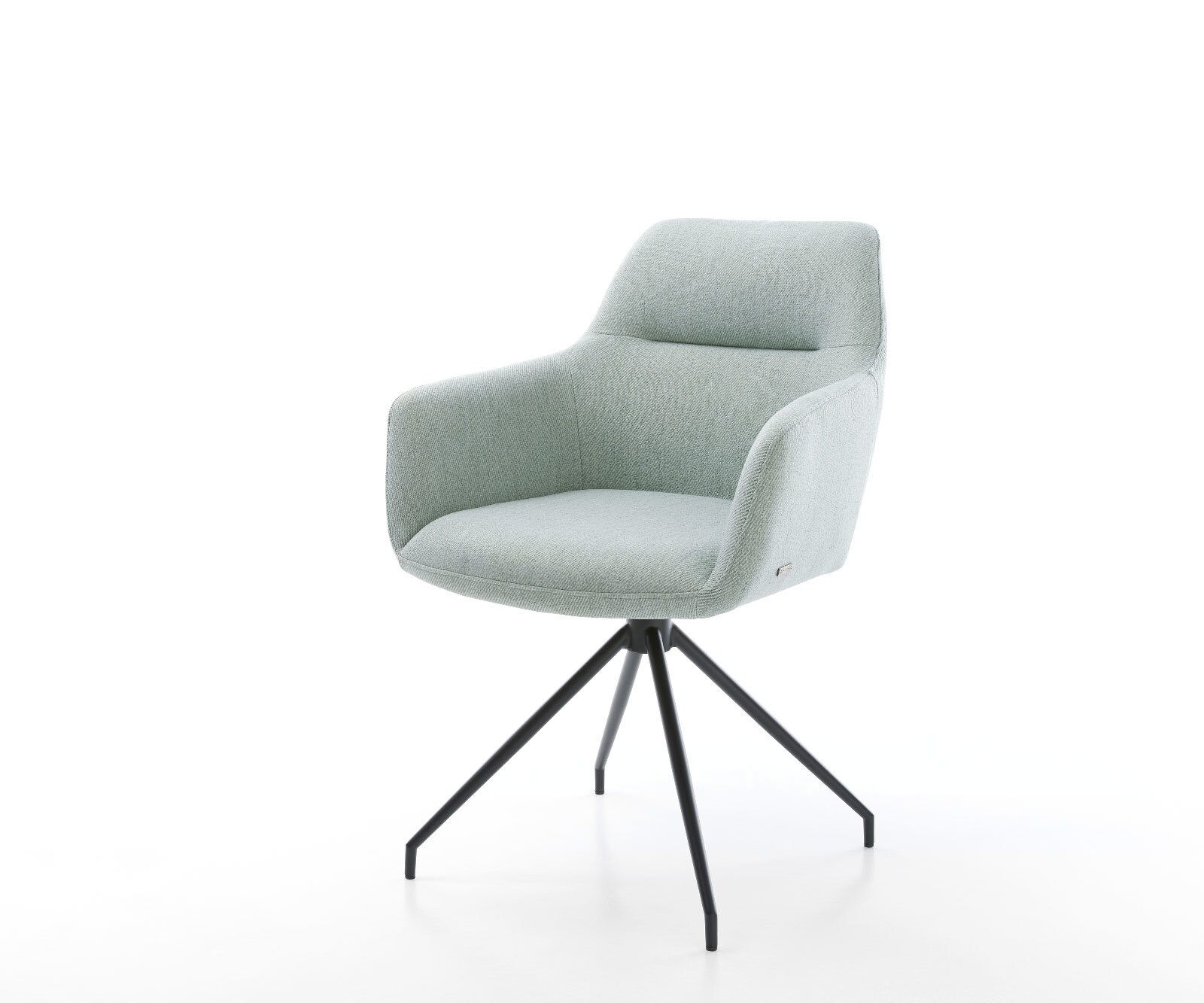 Eetkamerstoel Pejo-Flex stripes mint kruisframe conisch zwart pocketveer kern Eetkamerstoel Pejo-Flex stripes mint kruisframe conisch zwart pocketveer kern