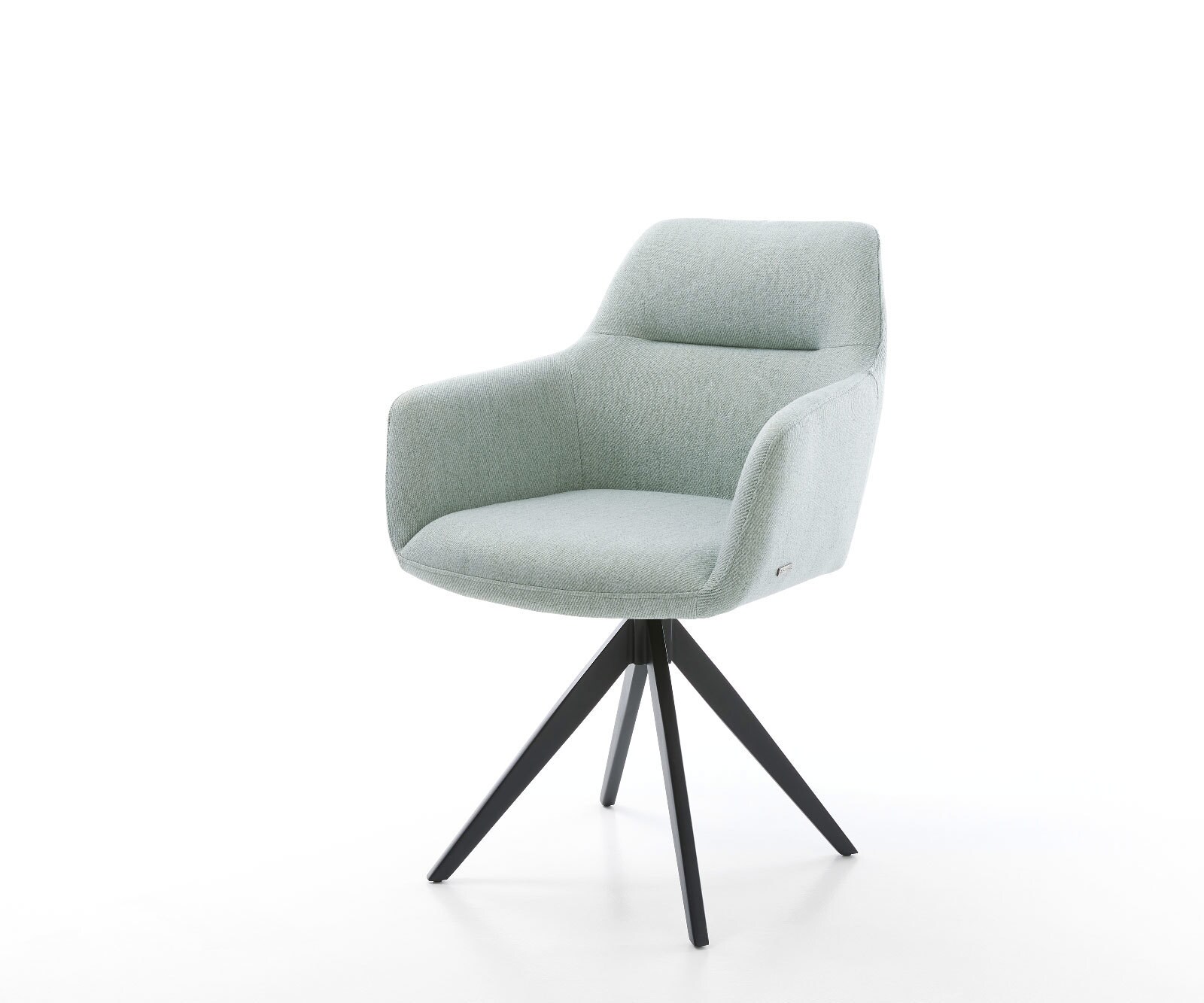Eetkamerstoel Pejo-Flex stripes mint kruisframe hoekig zwart